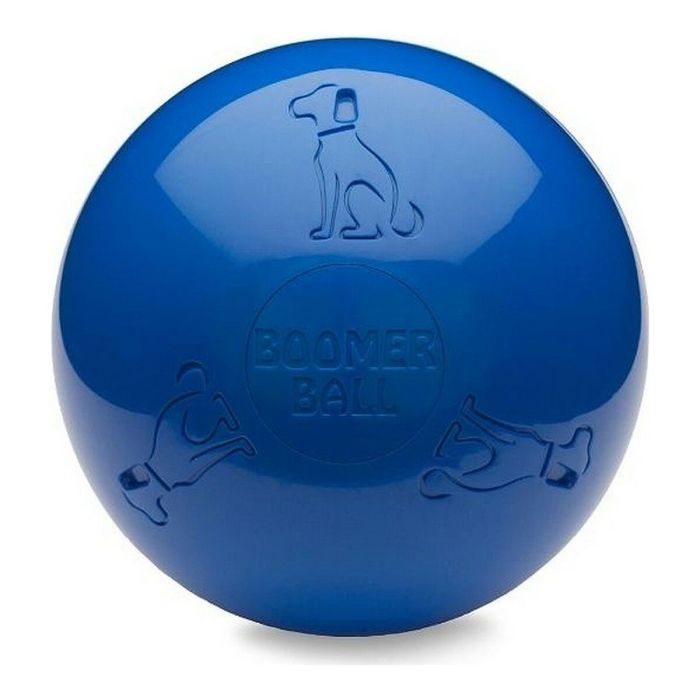 Juguete para perros Company of Animals Boomer Azul (150mm)