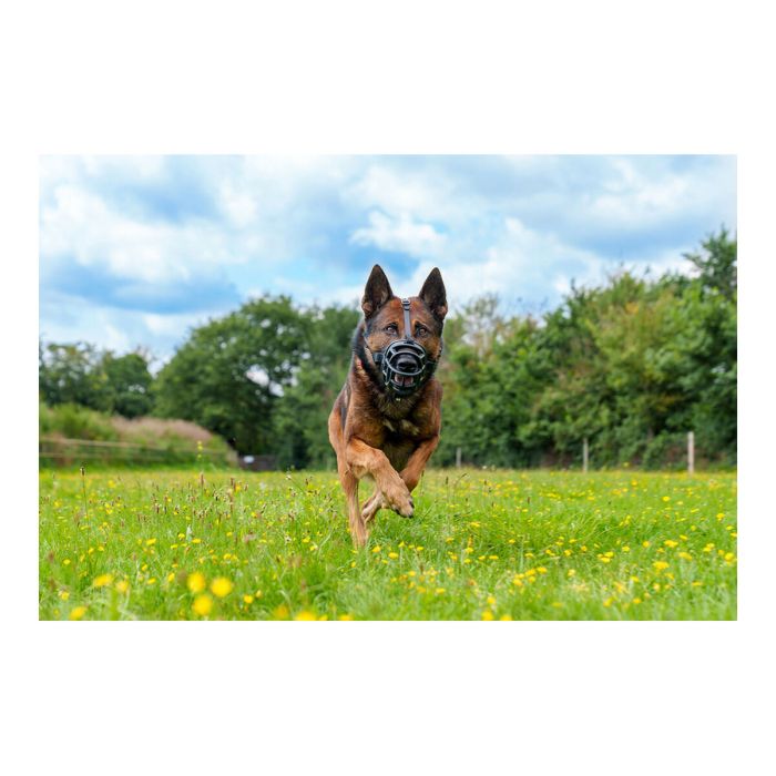 Bozal Company of Animals Baskerville Ultra Negro (5 x 22 cm) 5