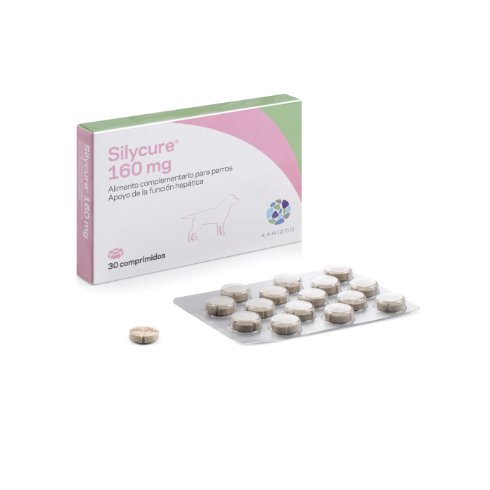 Silycure Perro Gato 160 mg 30 Comprimidos