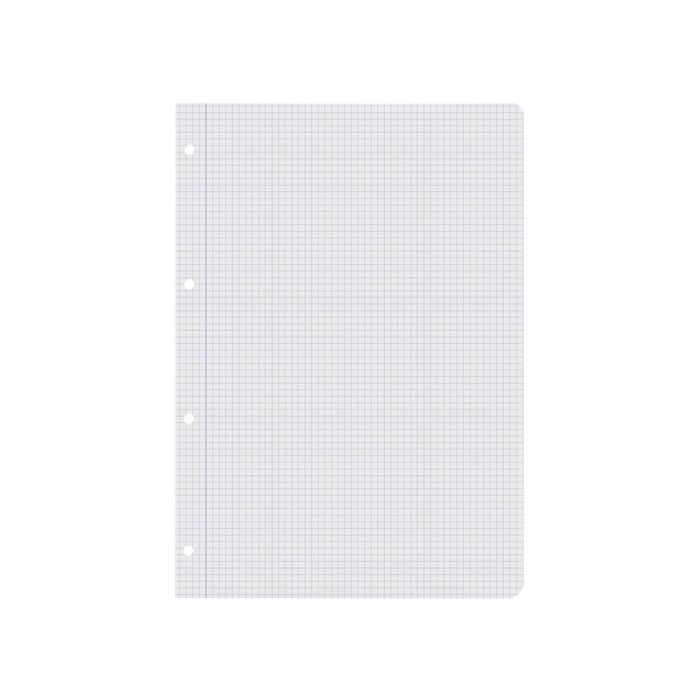 Recambio Liderpapel A4 100 Hojas 60 gr-M2 Cuadro 4 mm Con Margen Sin Taladros 3