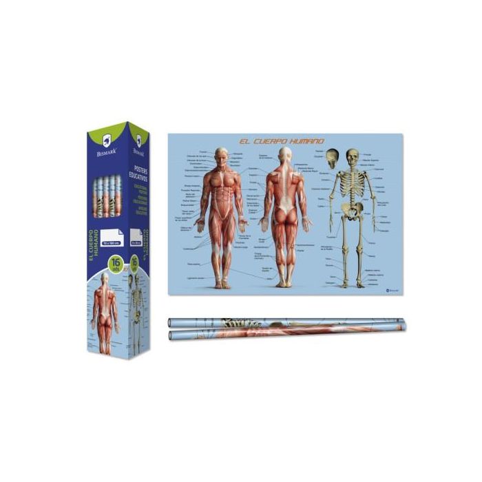 Bismark Poster Cuerpo Humano 70 x 100 cm