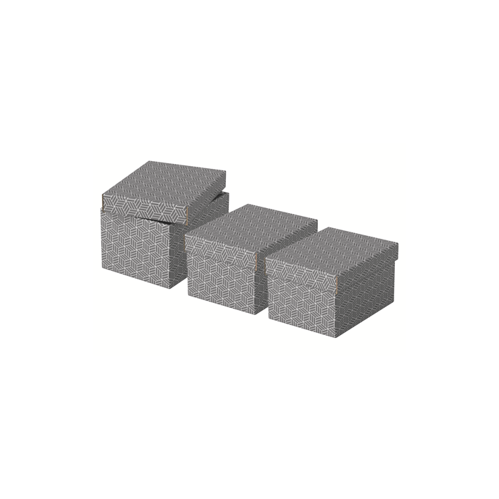 Pack 3 Cajas Grises 255X200X150Mm Esselte 628281 3