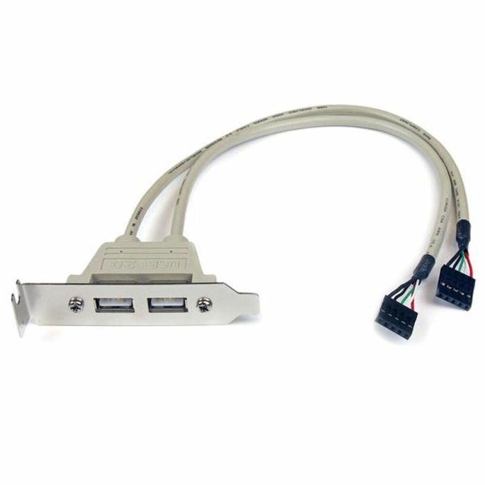 Tarjeta controladora RAID Startech USBPLATELP