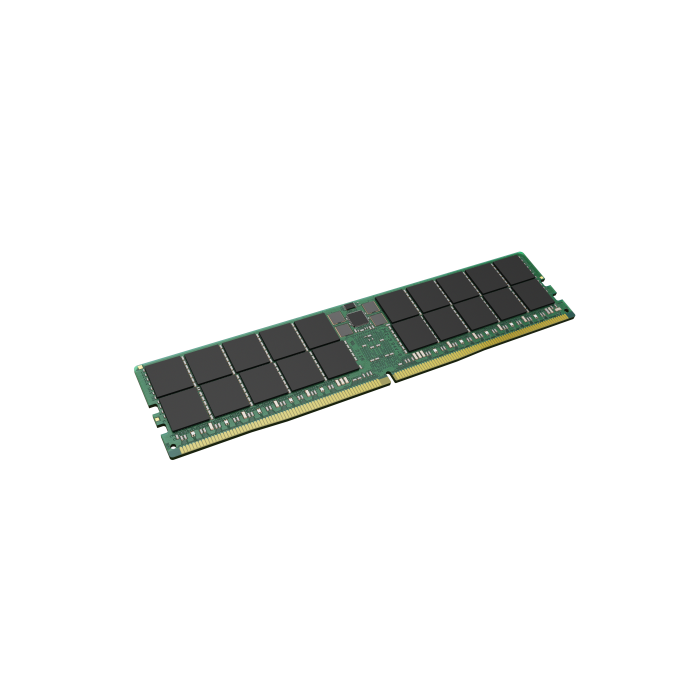 Kingston Technology KTD-PE556D4-64G módulo de memoria 64 GB 1 x 64 GB DDR5 ECC 3