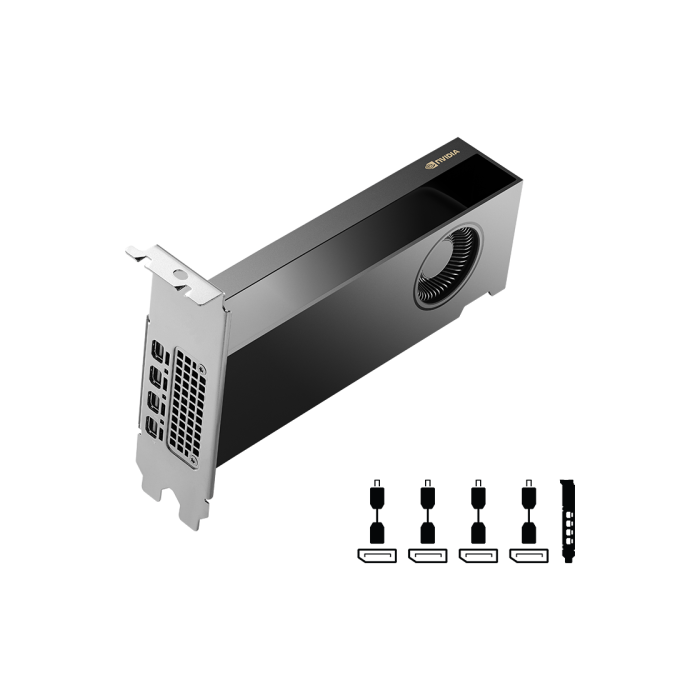 PNY NVIDIA RTX 2000 Ada Generation 16 GB GDDR6 1