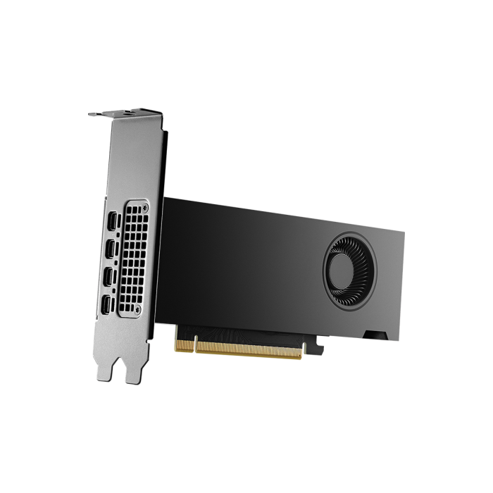 PNY NVIDIA RTX 2000 Ada Generation 16 GB GDDR6 2
