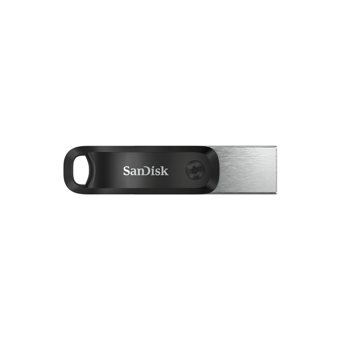 SanDisk SDIX60N-256G-GN6NE unidad flash USB 256 GB 3.2 Gen 1 (3.1 Gen 1) Gris, Plata 1
