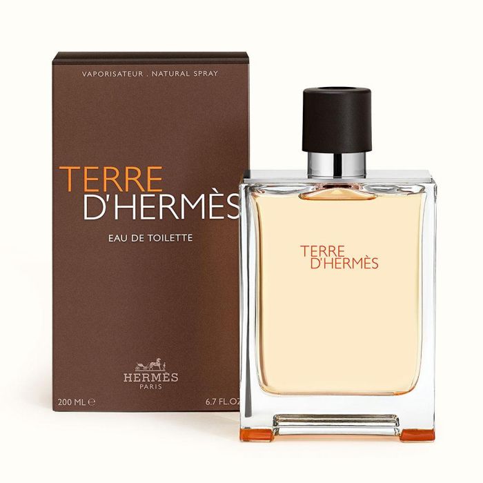 Terre D'Hermès Eau de Toilette Vaporizador 1