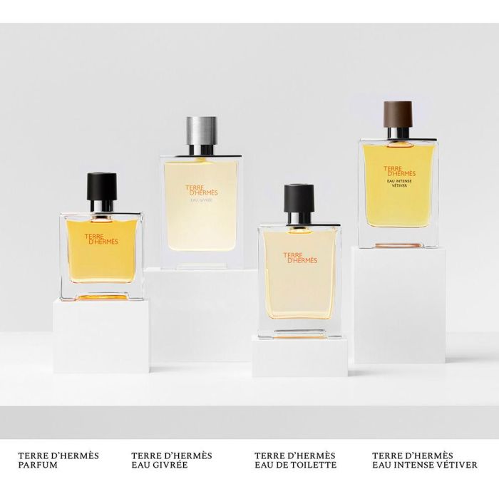 Terre D'Hermès Eau de Toilette Vaporizador 3