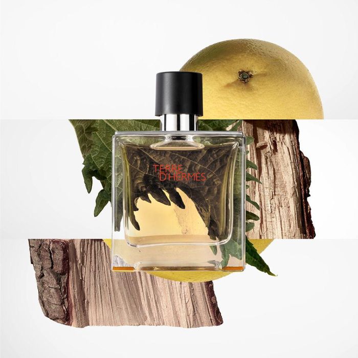 Terre D'Hermès Parfum Vaporizador 2