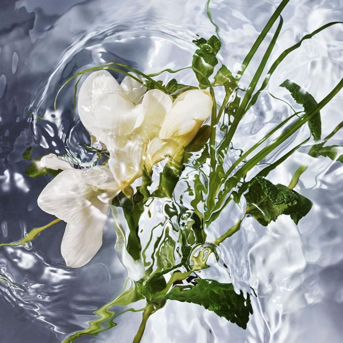 Aqua allegoria herba fresca 1