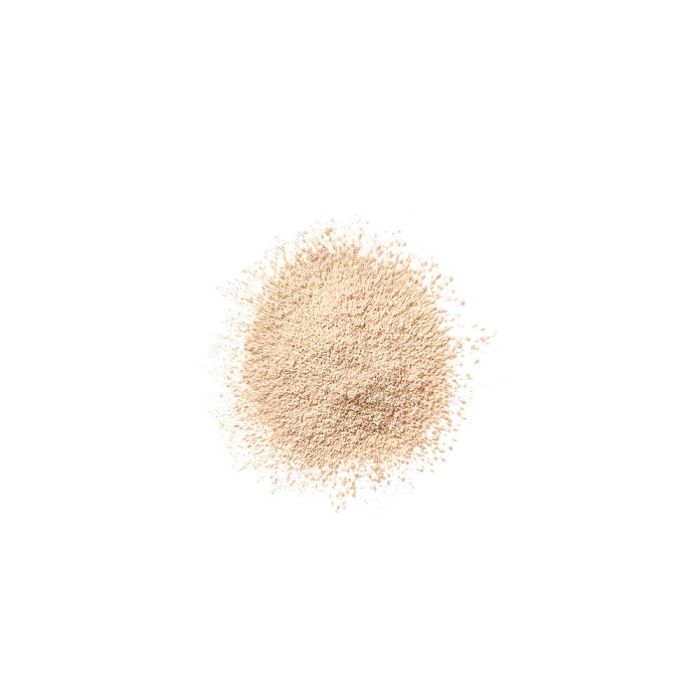 BLENDED face powder 2