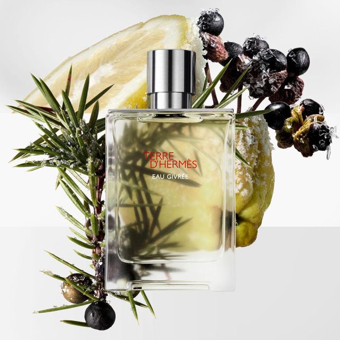 TERRE D’HERMÈS EAU GIVRÉE 3