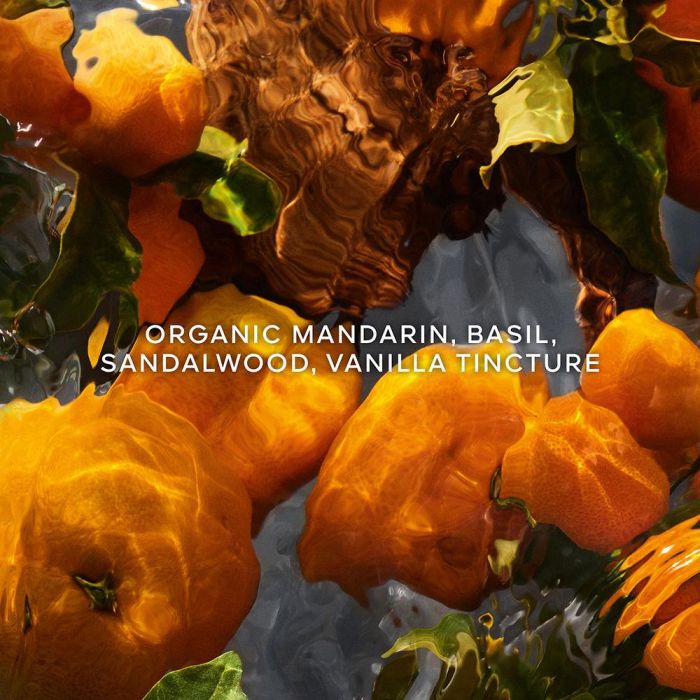 Aqua allegoria mandarine basilic forte 2 Aqua allegoria mandarine basilic forte 2
