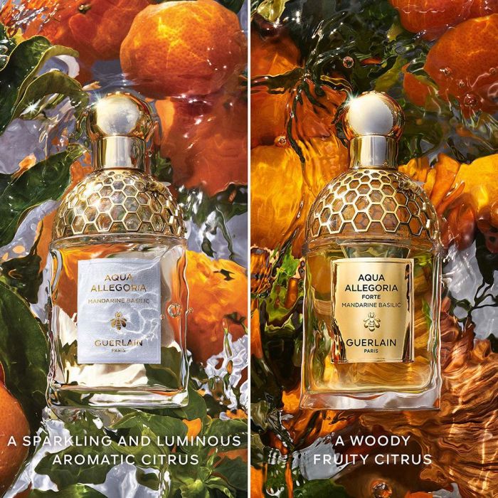Aqua allegoria mandarine basilic forte 3 Aqua allegoria mandarine basilic forte 3