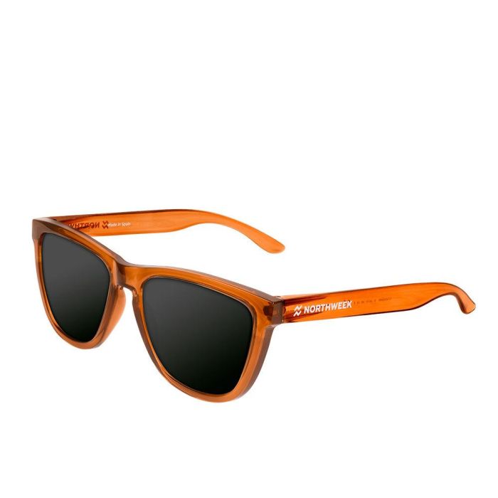 Gafas de Sol REGULAR DARK BROWN 1