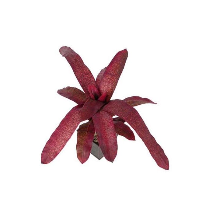 Planta Artificial Bromeliad Brudeos Burdeos Plástico