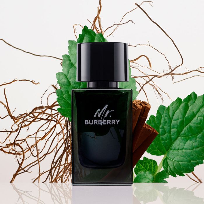 Mr. burberry eau de parfum vaporizador 100 ml 2