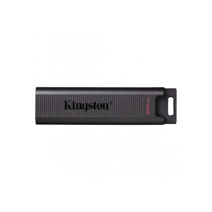 Memoria USB Kingston DTMAX/256GB Negro 256 GB