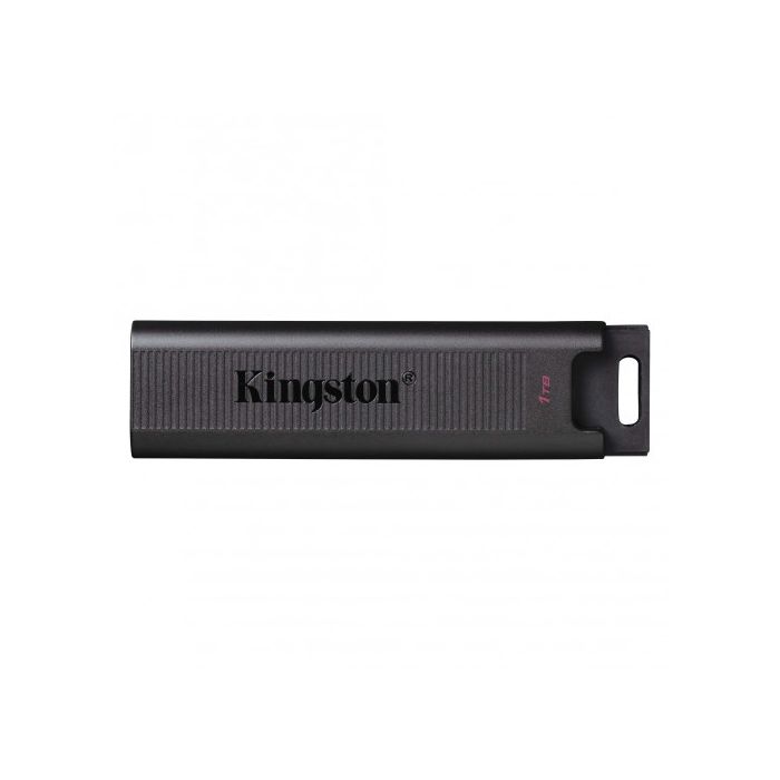 Memoria USB Kingston DTMAX/1TB Negro