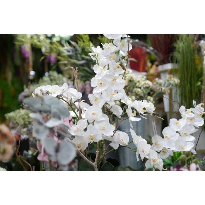 Flor Artificial Vara de Orquidea Blanco Latex 1