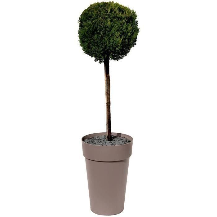 EDA Jarrón Maceta Tuscany Polipropileno Ø 46xH 65 cm 67 L Taupe | Resistente Heladas y UV, Interior/Exterior, Hecho en Francia 2 EDA Jarrón Maceta Tuscany Polipropileno Ø 46xH 65 cm 67 L Taupe | Resistente Heladas y UV, Interior/Exterior, Hecho en Francia 2