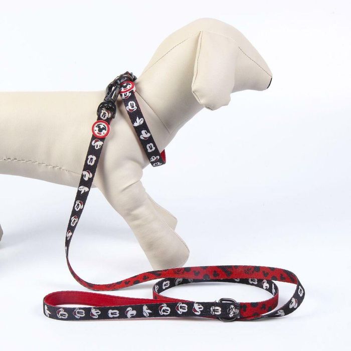 Collar premium para perros XS/s mickey t2XS:XS/s 4 Collar premium para perros XS/s mickey t2XS:XS/s 4