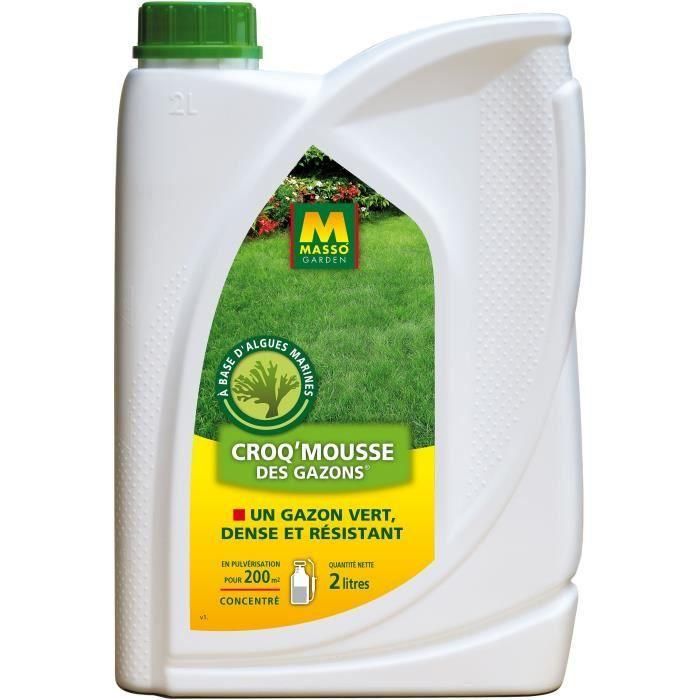 Fertilizante - MASSO GARDEN - 242316 - Croq'Mousse des turfs - 2 L 1