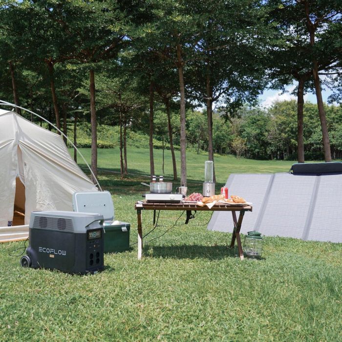 Generador Solar Portátil Ecoflow DELTAPRO1600WEU 1