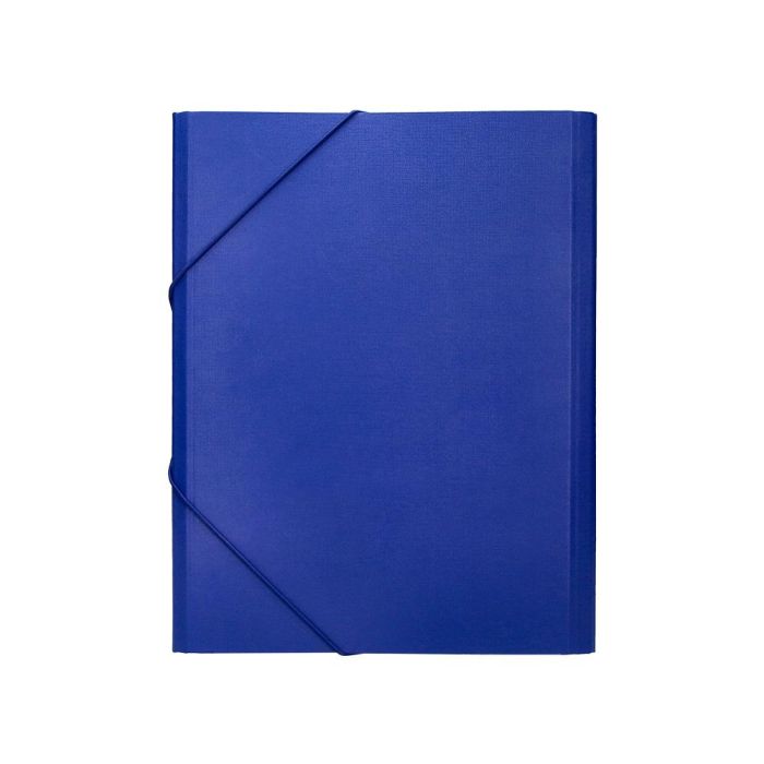 Carpeta Clasificadora Liderpapel 12 Departamentos Folio Prolongado Carton Forrado Azul