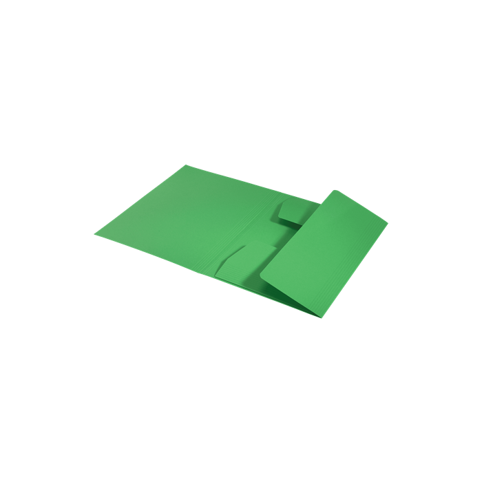 Carpeta Carton 3 Solapas A4 Recycle 100% Verde Leitz 39060055 2