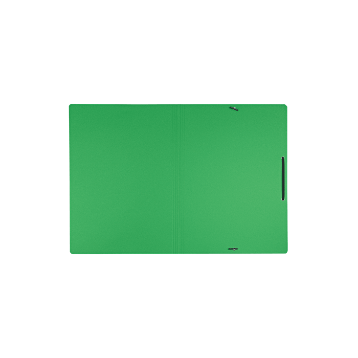 Carpeta de Carton con Gomas y sin Solapas A4 Recycle 100% Verde Leitz 39080055 3