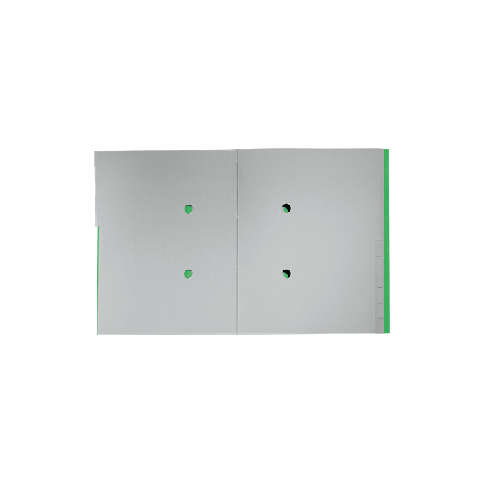 Carpeta Clasificadora de Carton 12 Posiciones A4 Recycle 100% Verde Leitz 39150055 2