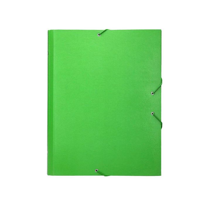 Carpeta Clasificadora Liderpapel 12 Departamentos Folio Prolongado Carton Forrado Verde Claro 1