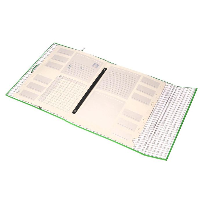 Carpeta Clasificadora Liderpapel 12 Departamentos Folio Prolongado Carton Forrado Verde Claro 3