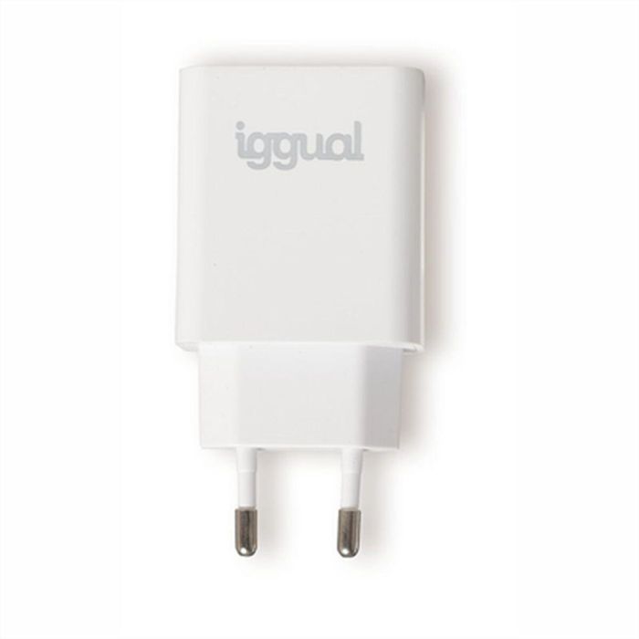 Cargador de Pared iggual IGG318164 20 W 1