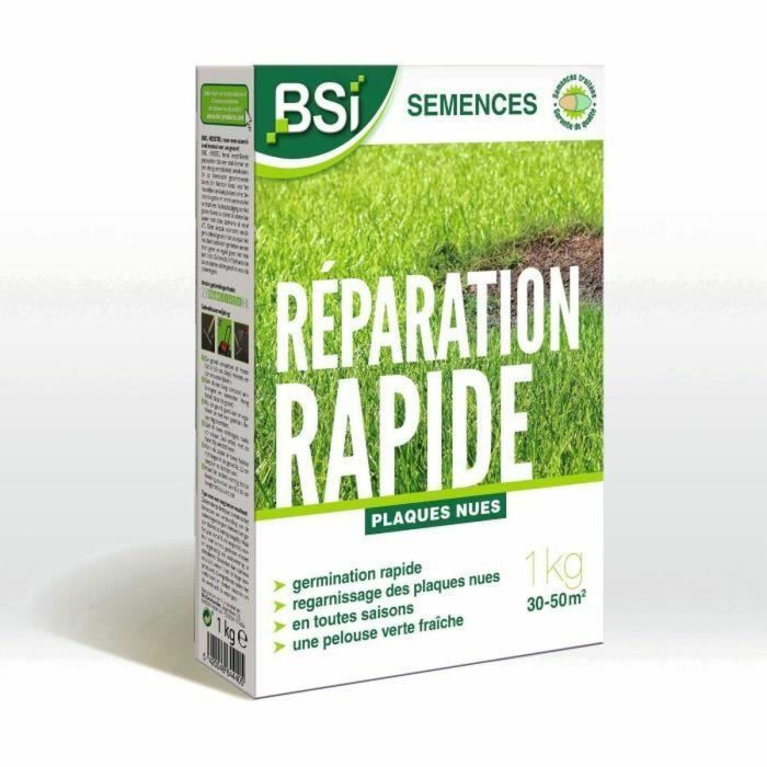 BSI BSI5420046644405 Semillas de Hierba Reparación Rápida con Recubrimiento Protector Alta Calidad hasta 50m² 1Kg