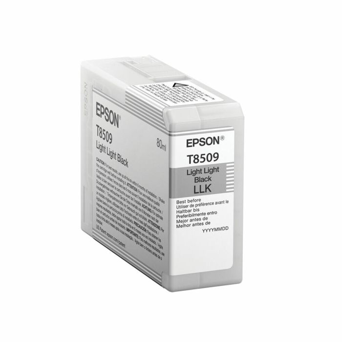 Cartucho de Tinta Original Epson C13T850900 Negro