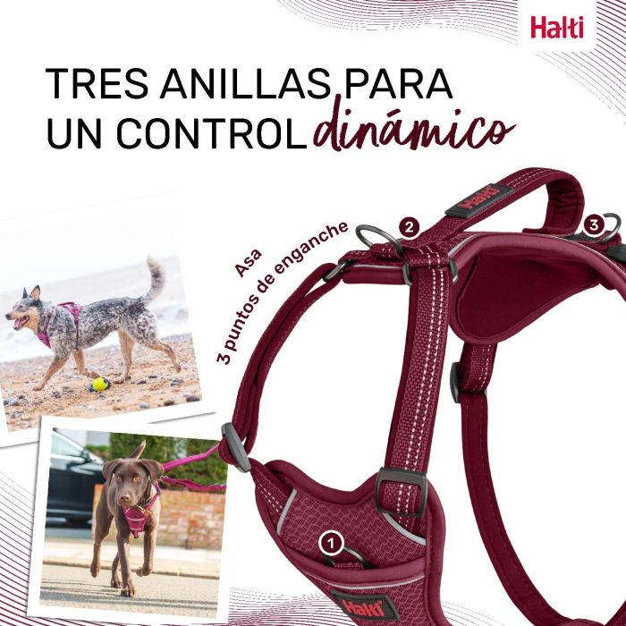 Halti Arnés de Perro Anatomy Burdeos Ajustable Acolchado Neopreno con Asa Reflectante 360° Control Dinámico Talla L (60-85cm Cuerpo) 3 Halti Arnés de Perro Anatomy Burdeos Ajustable Acolchado Neopreno con Asa Reflectante 360° Control Dinámico Talla L (60-85cm Cuerpo) 3
