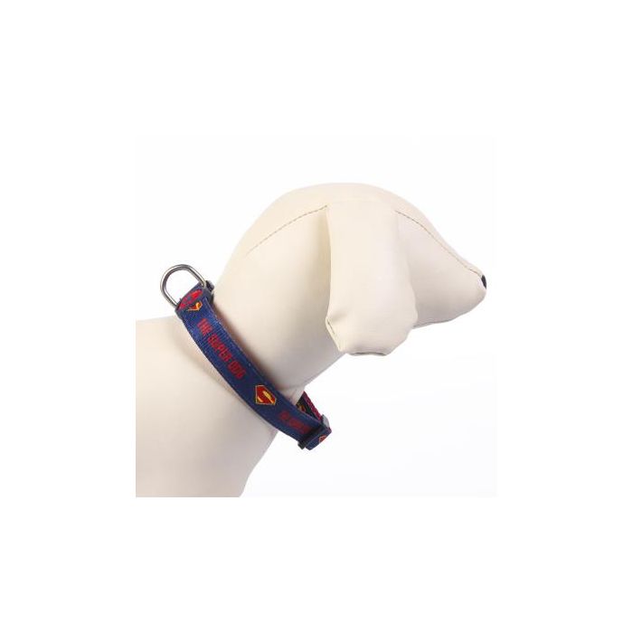 Collar para Perro DC Pets Azul S/M 2 Collar para Perro DC Pets Azul S/M 2