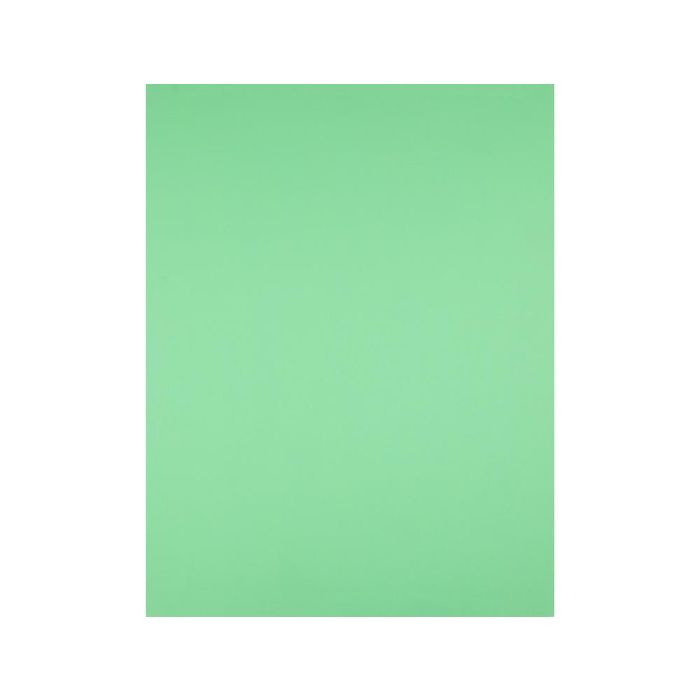 Cartulina Liderpapel 50x65 cm Verde Pistacho 180 gr Unidad 125 unidades 2