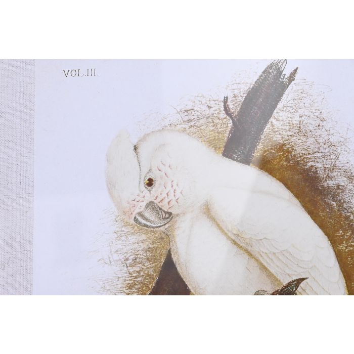 DKD Home Decor Cuadro Blanco Cristal Bambú Cacatua 2.8 x 65 x 50 cm (4 Unidades) 2 DKD Home Decor Cuadro Blanco Cristal Bambú Cacatua 2.8 x 65 x 50 cm (4 Unidades) 2