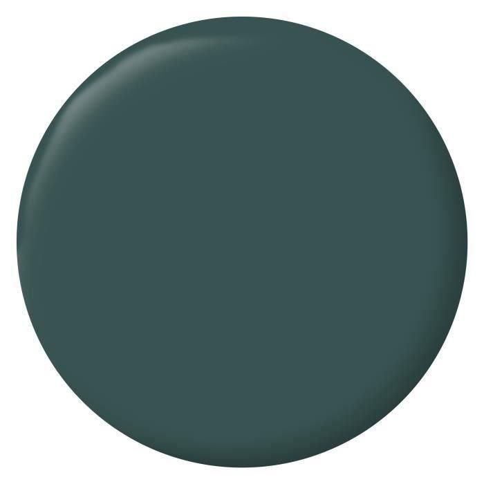 RIPOLIN Pintura de color terciopelo para paredes, carpintería de radiadores - Verde militar 1 RIPOLIN Pintura de color terciopelo para paredes, carpintería de radiadores - Verde militar 1