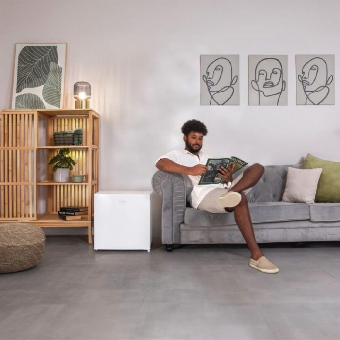 Mini Nevera Cecotec GrandCooler 20000 L SilentCompress 48 x 45 x 48,7 cm Blanco 48 W 46 L 13