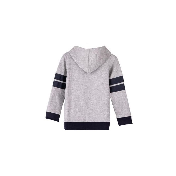 Sudadera Con Capucha Cotton Brushed Harry Potter Gris 1