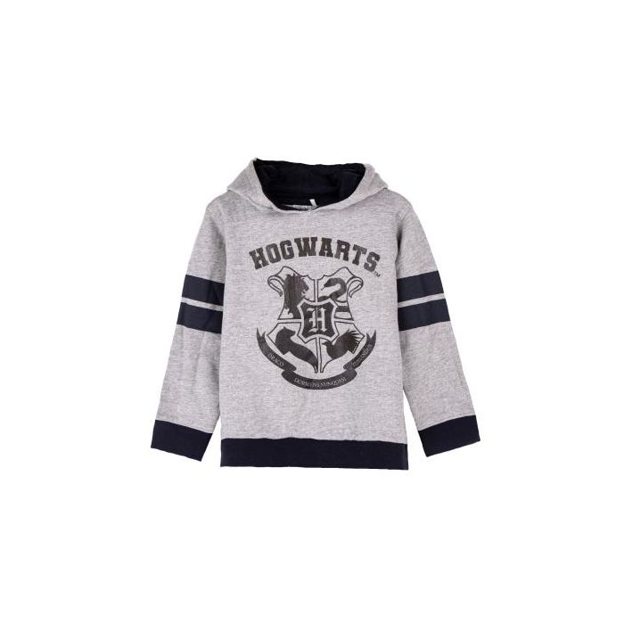 Sudadera Con Capucha Cotton Brushed Harry Potter Gris