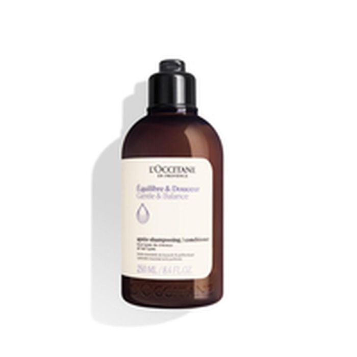 L'Occitane En Provence AROMA Acondicionador Hidratante Nutritivo con Aceites Esenciales para Equilibrio y Suavidad Sin Silicona 250 ml