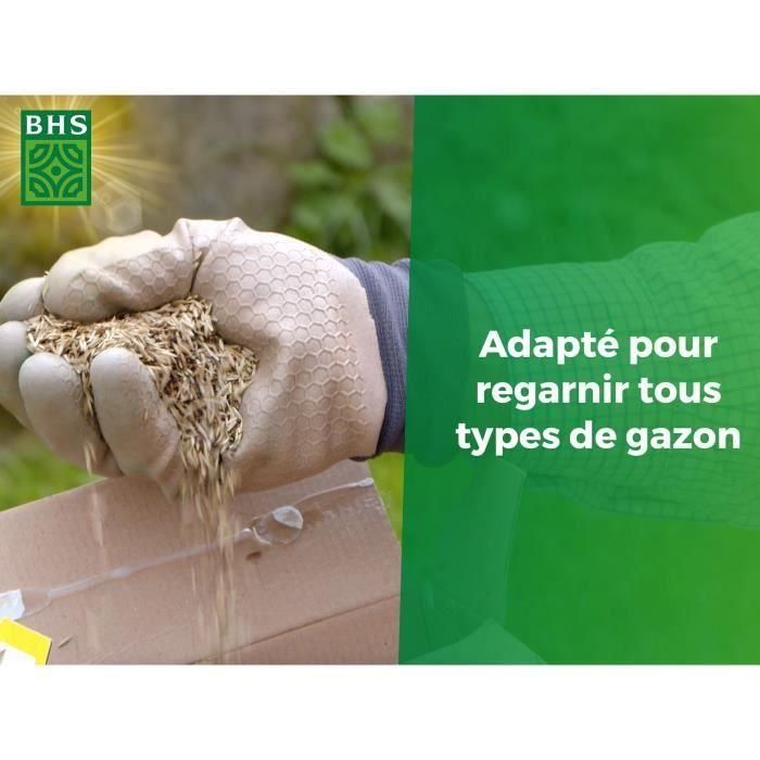 Césped - BHS - Regenerador de césped 5 kg 1 Césped - BHS - Regenerador de césped 5 kg 1