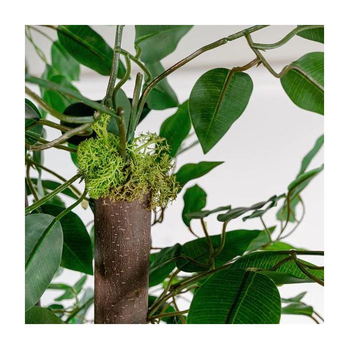 Árbol Home ESPRIT Poliéster Madera 80 x 80 x 180 cm 1