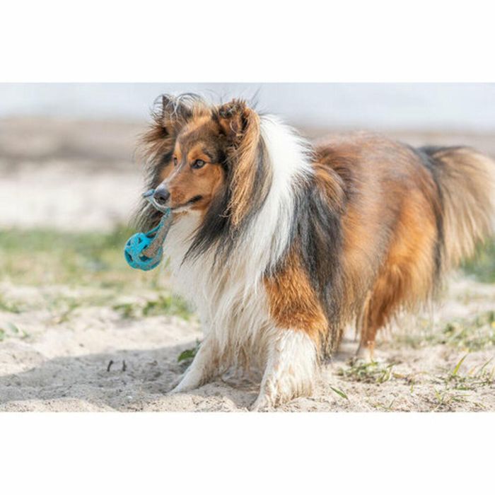 Pelota para Mascotas Trixie Turquesa TPE Bola ø 6 x 23 cm 5 Pelota para Mascotas Trixie Turquesa TPE Bola ø 6 x 23 cm 5